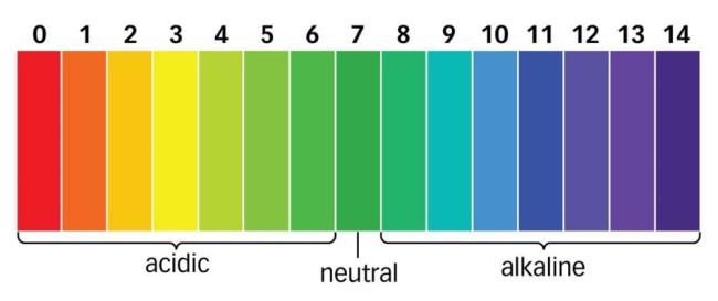 A Substance With A *pH Of 13* Tells You That The Substance Is Mildly Basic Or Strongly Basic?