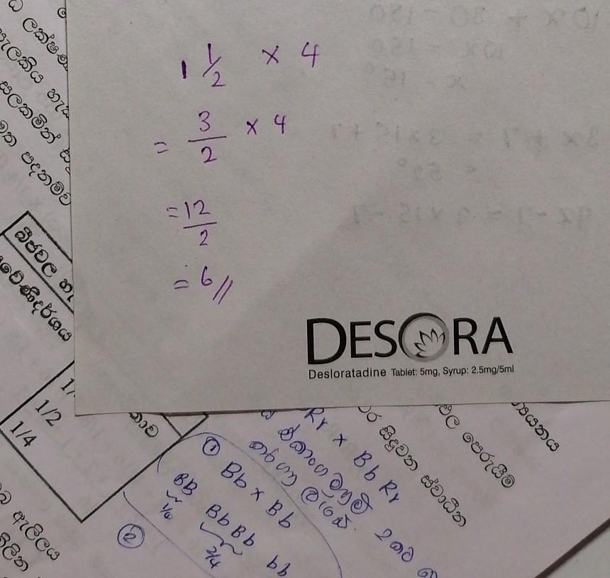 Tacara Has 4 Groups. She Puts 1 1/2 Cupcakes In Each Group. What Is The Total Number Of Cupcakes?