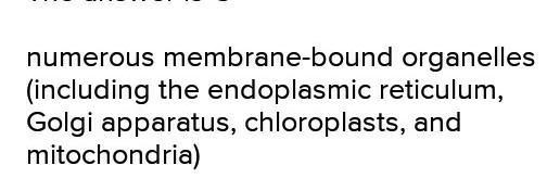 Which Of The Samples Shown Below Are Eukaryotic?