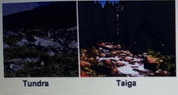 Review The Images Of The Two Biomes, The Tundra And The Taiga. Notice That While There Are About 1,700