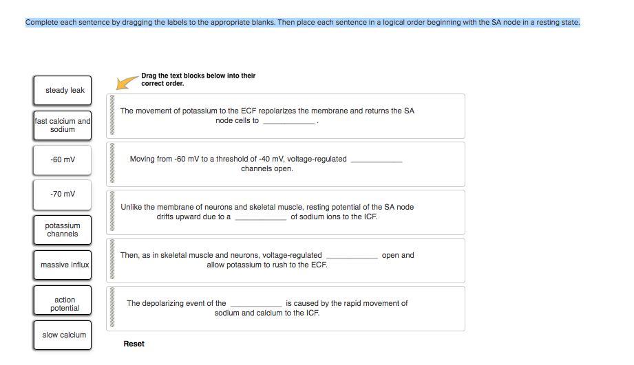 Av Bundle Vs Bundle Of Complete Each Sentence By Dragging The Labels To The Appropriate Blanks. Then