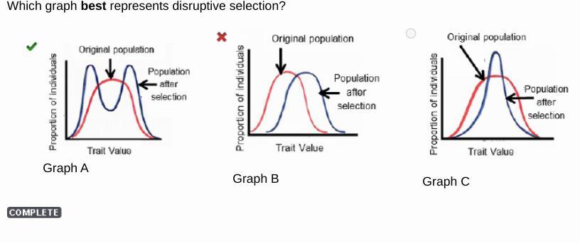 Which Form Of Natural Selection Does The Graph Represent? A Graph Has Trait Value On The Horizontal Axis