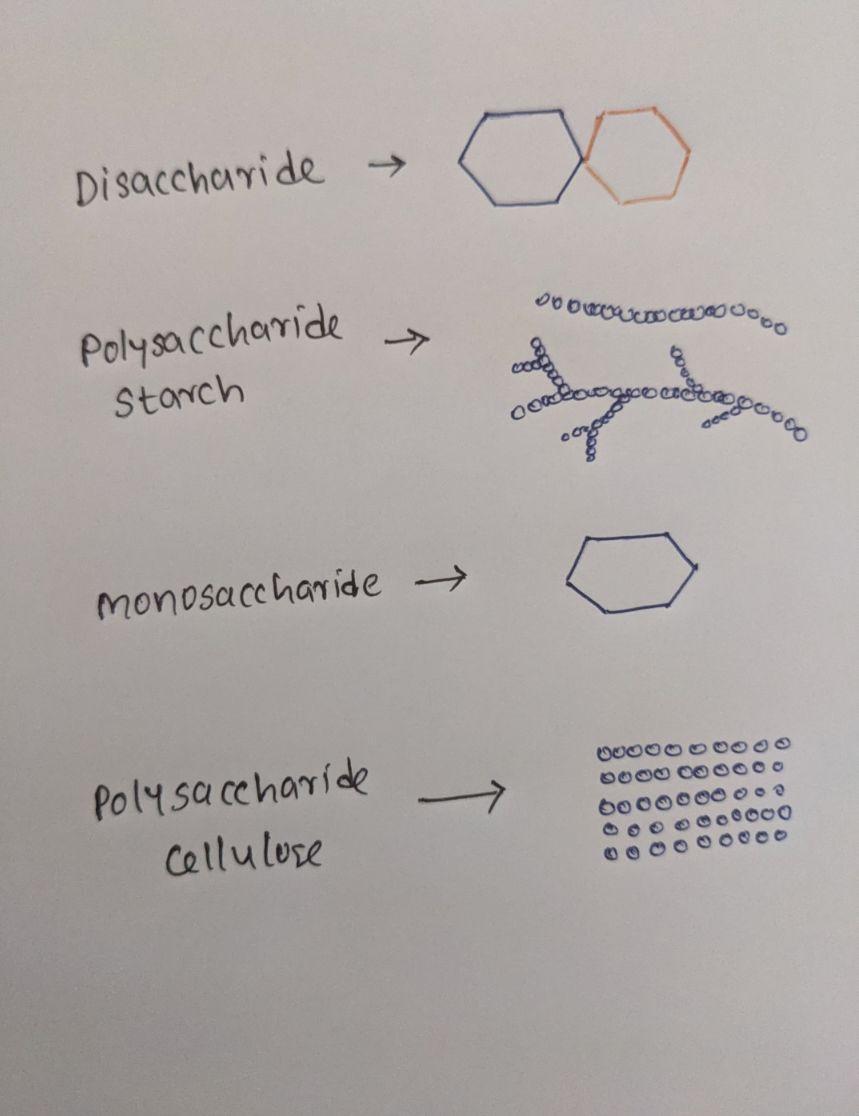 Chemical Structure Of Carbohydrates Pictured Below Are Four Different Carbohydrate Chemical Structures.