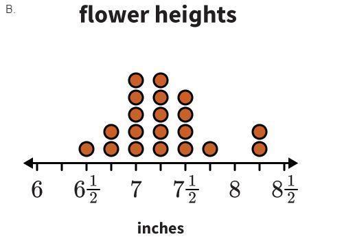 Janette Measures The Heights In Inches Of Some Of The Flowers In Her Garden To See Which Ones Are Growing