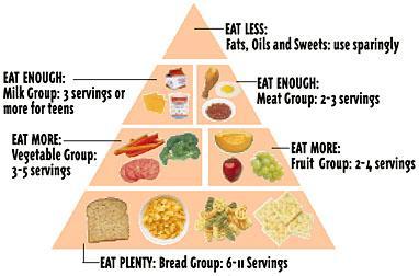 Pwease AnsweeeeerrList The 5 Groups Of The Food Guide Pyramid And Give Their Daily Recommendations (general