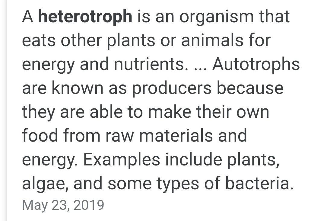 1. Define The Following Terms:a.Producerb.Autotraphc.Consumerd.Heterotrophe.Chemosynthesisf.Photosynthesis