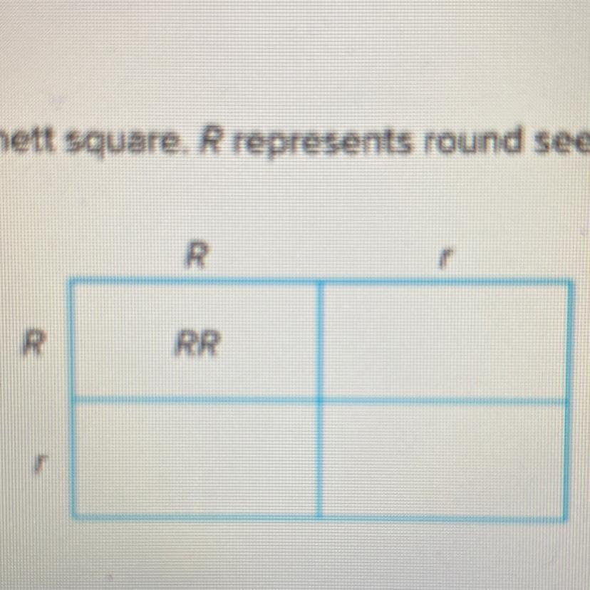Analyze The Punnett Square R Represents Round Seeds R Represents Wrinkled Seedsratio Of Phenotypes:ratio