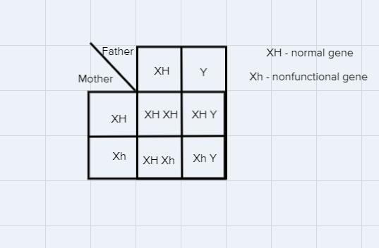 Draw A Punnett Square To Help You: A Woman Who Is A Carrier Marries A Normal Man.a) Whats Is The Probability