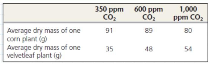 Does Atmospheric Carbon Dioxide Concentration Affect The Productivity Of Agricultural Crops? Atmospheric