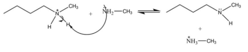 Primary Amines Can Be Converted Into Secondary Amines By Reaction With Haloalkanes. This Reaction Is