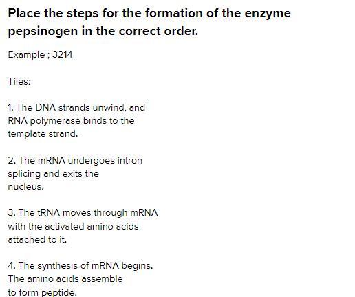 Place The Steps For The Formation Of The Enzyme Pepsinogen In The Correct Order.