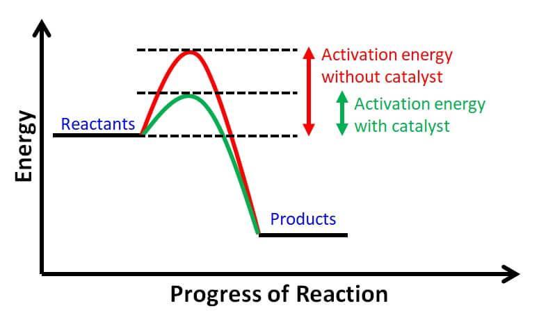 When This Enzyme Catalyze The Reaction, The Activation Energy Barrier Changes By 27.6 Kj/mol For The