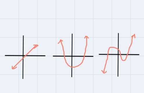 Comment On The Similarities And Differences For The Graph Of Every Polynomial Function.