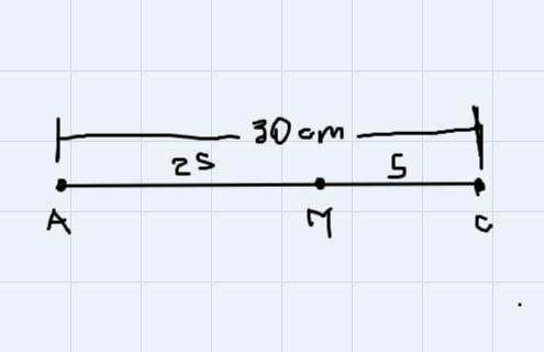 Line Segment AC Is 10 Centimeters (cm) Long, Point M Is The Midpoint Of AC.What Will Happen To The Length