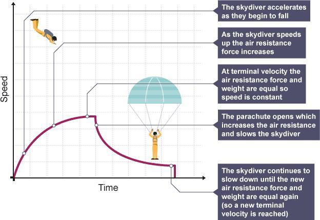 For An Object Falling At The Terminal Velocity, List All The Forces (magnitude And Direction) Acting