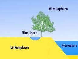 Which Statement Is True Of The Many Parts Of The Biosphere?* O A. Each Part Includes Salt Water. O B.