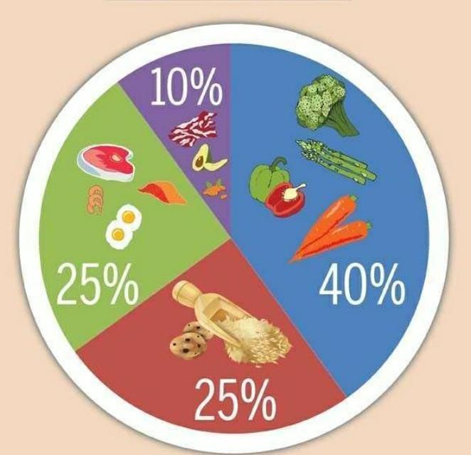 Hi Friends !How Does Proper Diet Chart Look Like ?Thank You