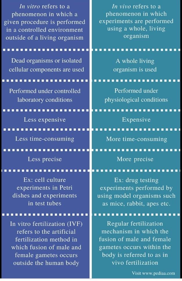 Differentiate Between Invitro And Invivo Fertilization