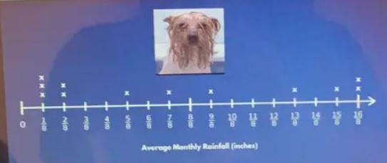 Find The Sum Of The Average Monthly Rainfall. This Is On I Ready Okay So Please Help.