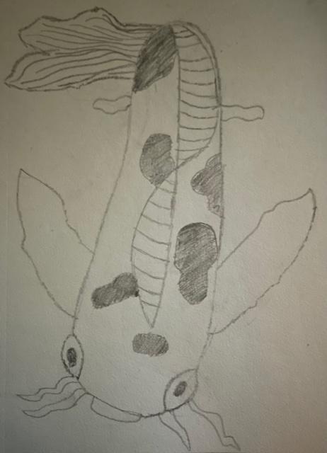 Draw A Koi Fish, Similar To My Teacher's You Can Use Art Hub, Doesn't Matter If You Color It!REPORTING