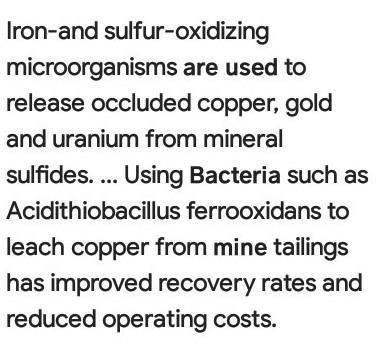 How Does The Mining Industry Make Use Of Bacteria?