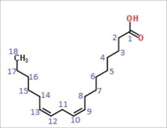 Only One Acetyl Coa Molecule Is Used Directly In Fatty Acid Synthesis. Which Carbon Atoms In This Fatty