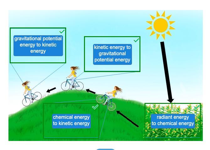 Identify The Transformations Of Energy That Take Place In The Diagram. Assume The Girl In The Diagram