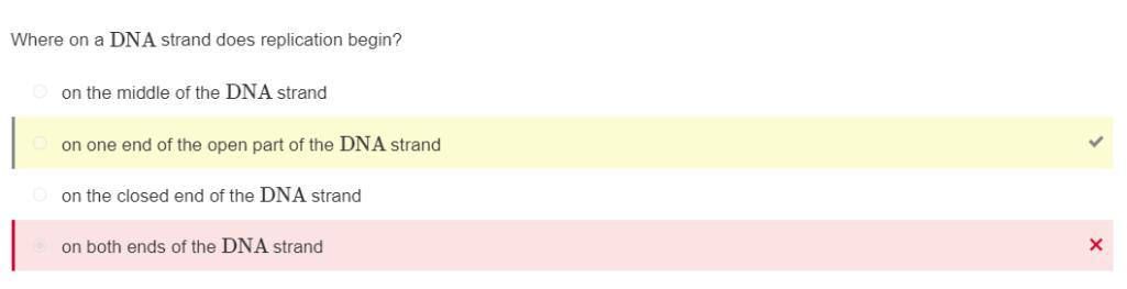 Where On A DNA Strand Does Replication Begin?on The Closed End Of The DNA Strandon Both Ends Of The DNA
