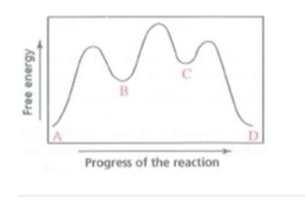 Which Step In The Reaction Coordinate Diagram Has The Greatest Free Energy Of Activation In The Forward