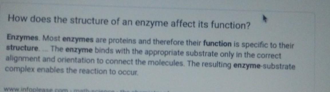 Describe How An Enzymes Structure Affects Its Function