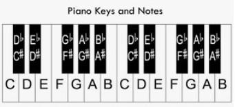 Name The Starred Note On The PianoPLEASE Help I Dont Understand This And This Is On A Timed Test!! Thank