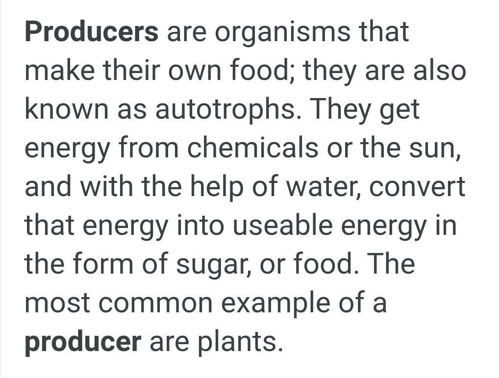 1. Define The Following Terms:a.Producerb.Autotraphc.Consumerd.Heterotrophe.Chemosynthesisf.Photosynthesis