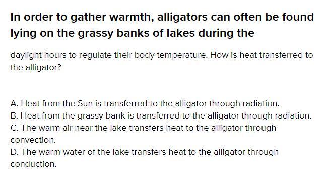 In Order To Gather Warmth, Alligators Can Often Be Found Lying On The Grassy Banks Of Lakes During The