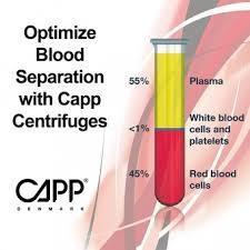 Why Blood Is Separated Into Different Parts