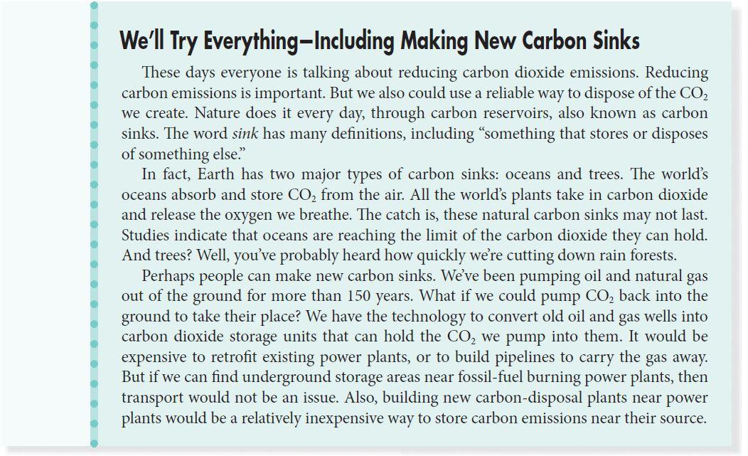 What Type Of Carbon Sink Does The Author Propose People Use?