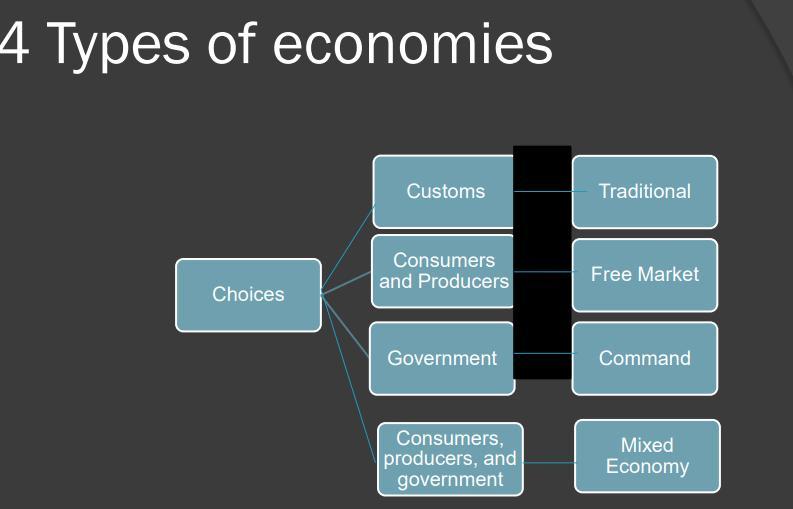 Disadvantage Of Economic System *plz Give Me A Few Answer Asap*