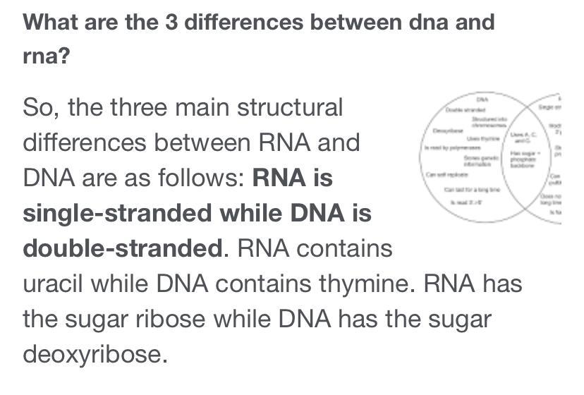 Describe 3 Differences Between DNA And RNA