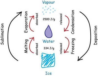 How Much Heat Must Be Removed From 750 Grams Of Water At 0C To Form Ice At 0C?