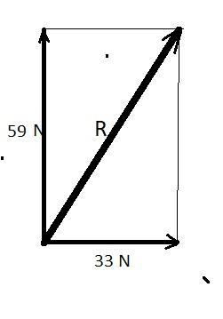 Given The Two Vectors Below, Find Themagnitudeof The Resultant Vector's Force In Newtons If Both Vectors