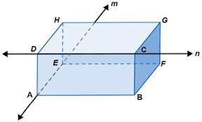 What Are Parallel Lines 