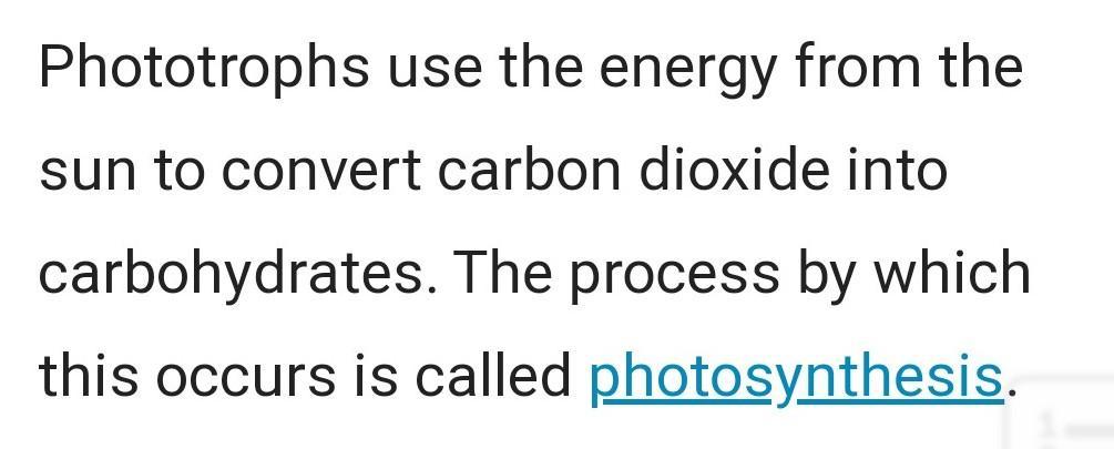 1. Define The Following Terms:a.Producerb.Autotraphc.Consumerd.Heterotrophe.Chemosynthesisf.Photosynthesis