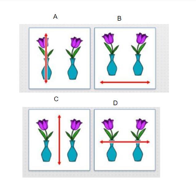 Each Picture Shows A Figure And Its Reflection. Which Picture Shows The Line Of Reflection?