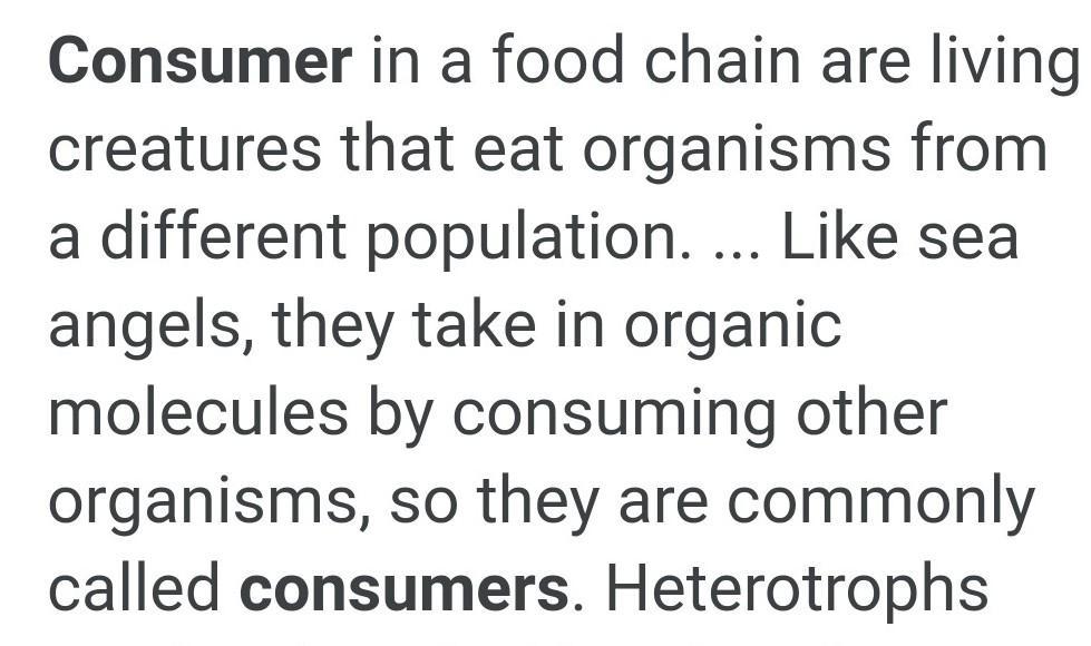 1. Define The Following Terms:a.Producerb.Autotraphc.Consumerd.Heterotrophe.Chemosynthesisf.Photosynthesis