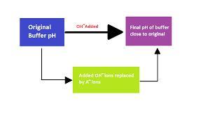 Suppose You Want To Make An Acetic Acid/acetate Buffer To A PH Of 5.00 Using 10.0 ML Of 1.00 M Acetic