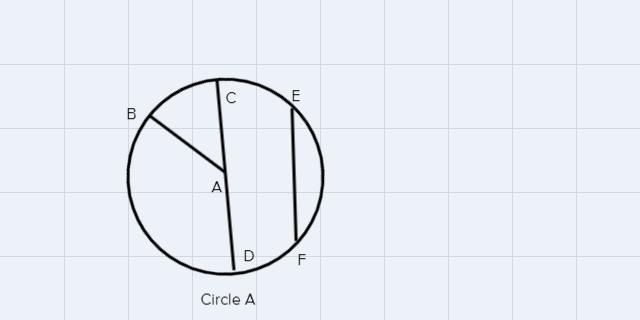  Parts Of A CircleFor This Assignment, You Will Draw And Label The Parts Of A Circle. Follow The Directions