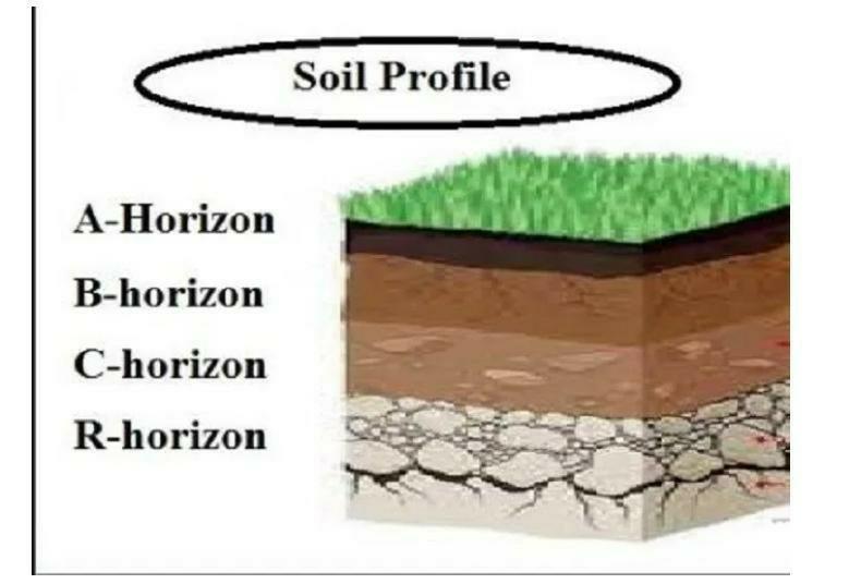 What Is Sold Profile? Write The Names Of Various Horizons Of Soil With The Help Of A Neat Labeled Diagram