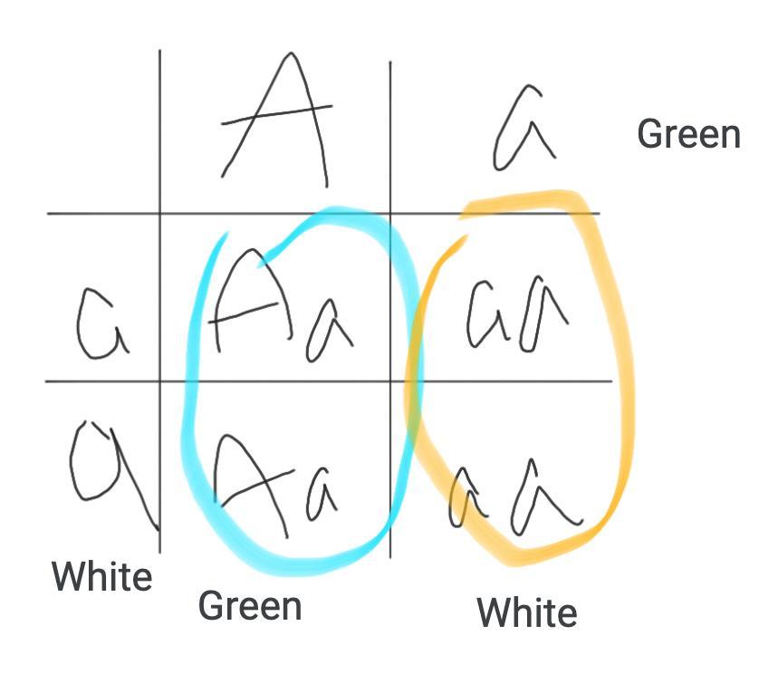 18. In Pea Plants, The Seed Coat Can Be Green Or White. Green Is Dominant Over White.Construct Your Own