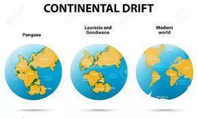 Hello Please AnswerWhich Evidence Did Wegener Use To Develop The Theory Of Continental Drift?A. The Rocky