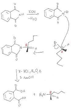 Draw The Major Organic Product Of The Reaction. Be Sure To Draw Both The Wedge And Hash Bonds Per Stereocenter