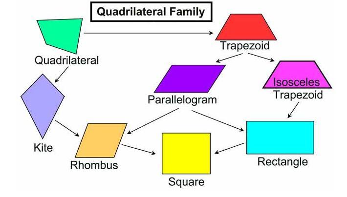 Sketch A Quick Diagram Of How All The Quadrilaterals Relate To One Another 